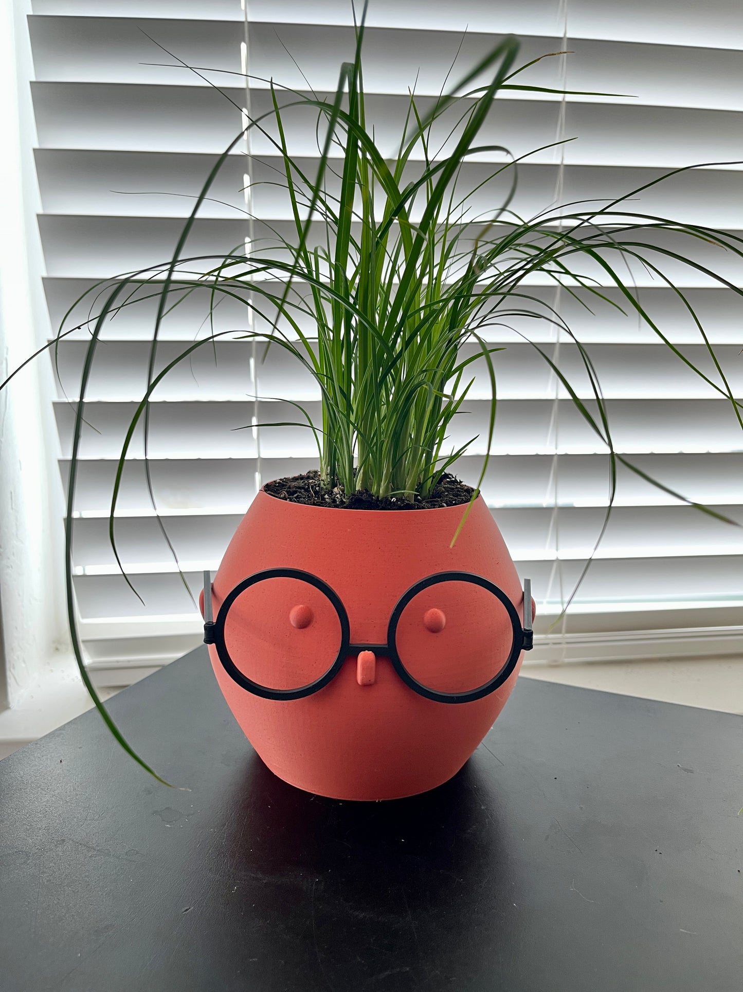 Unique Indoor Pot with a Face and Glasses: A Fun and Quirky Decorative Addition - Customizable Character - Home and Office Decor