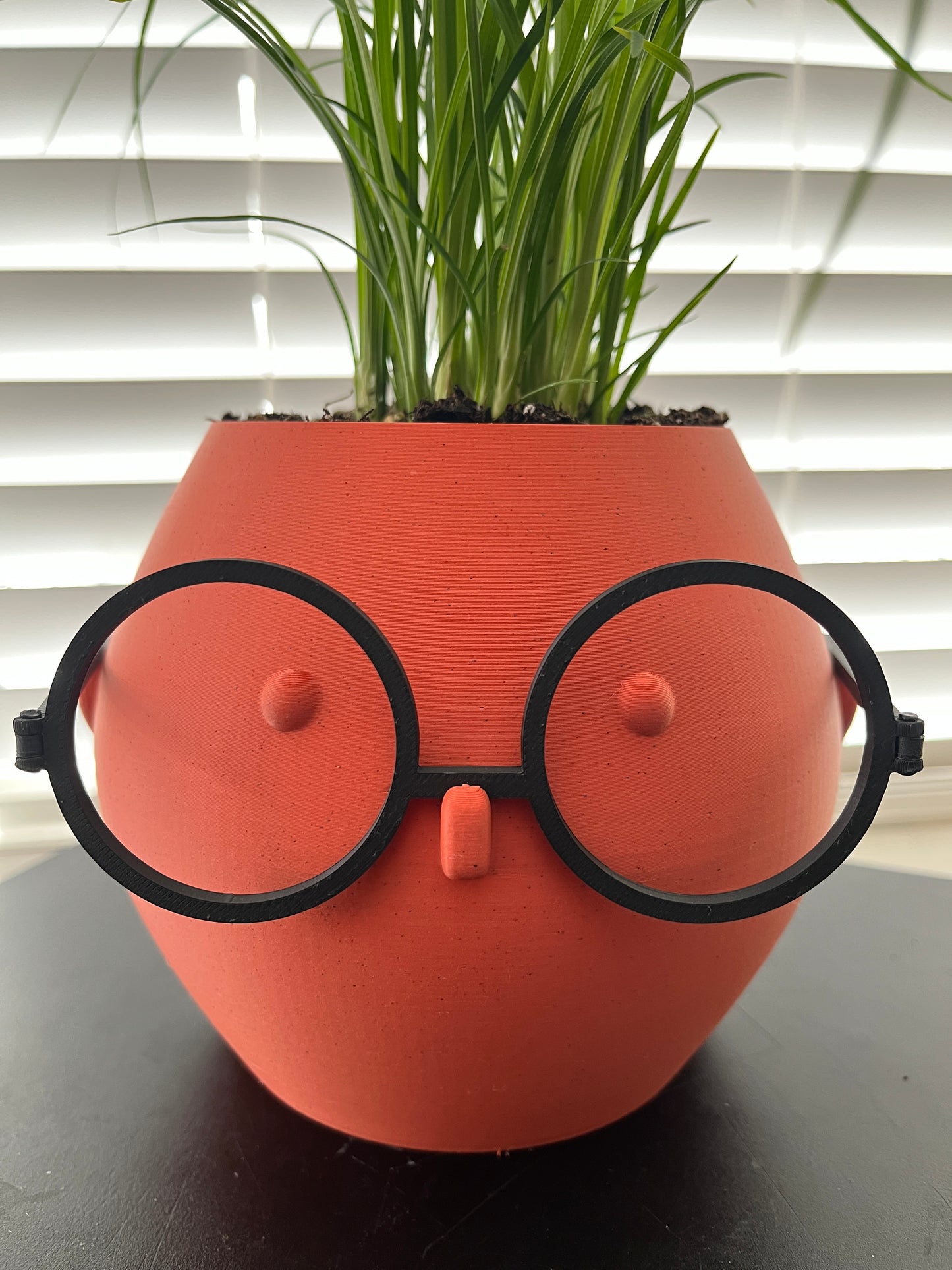 Unique Indoor Pot with a Face and Glasses: A Fun and Quirky Decorative Addition - Customizable Character - Home and Office Decor