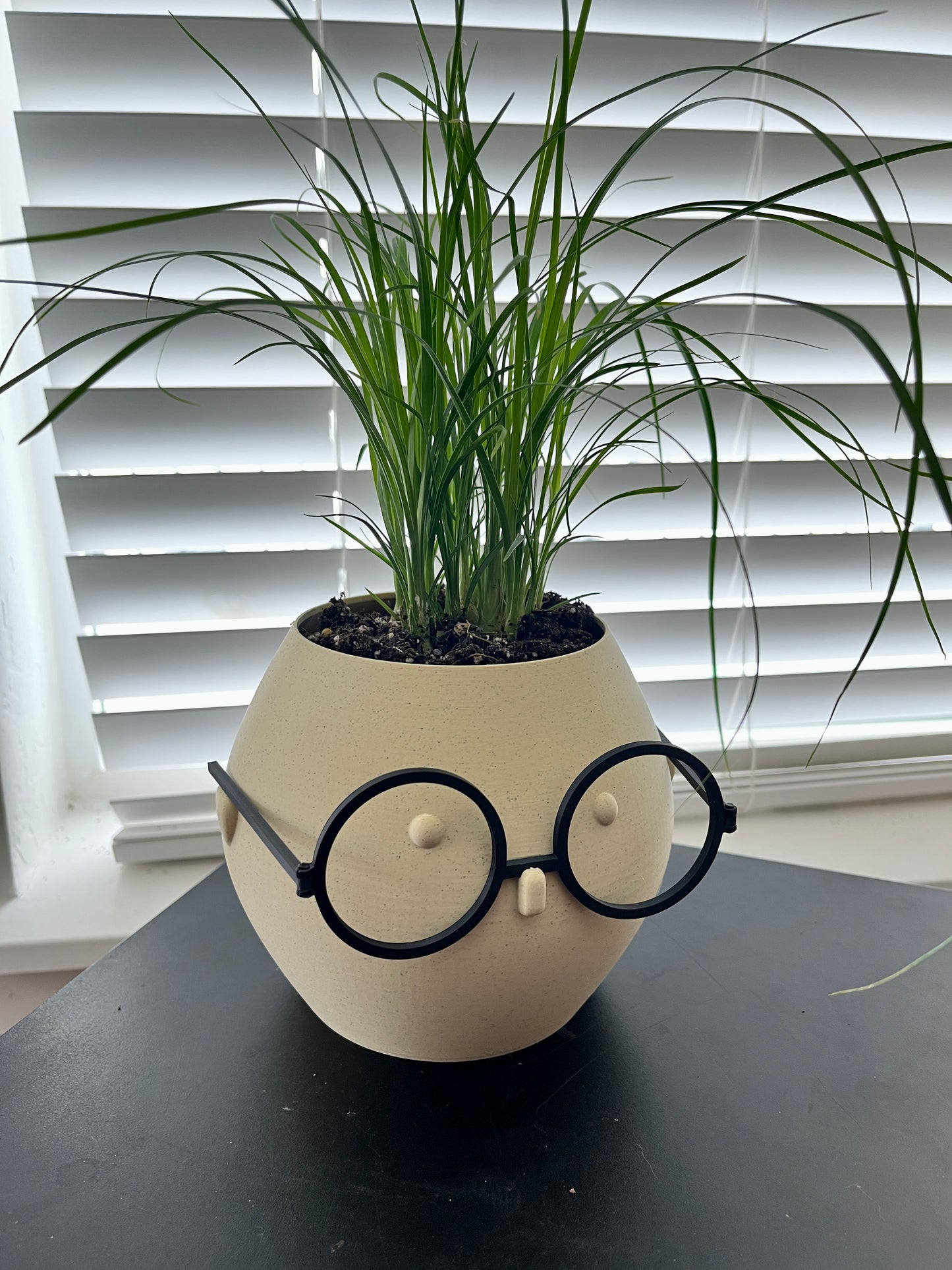 Unique Indoor Pot with a Face and Glasses: A Fun and Quirky Decorative Addition - Customizable Character - Home and Office Decor