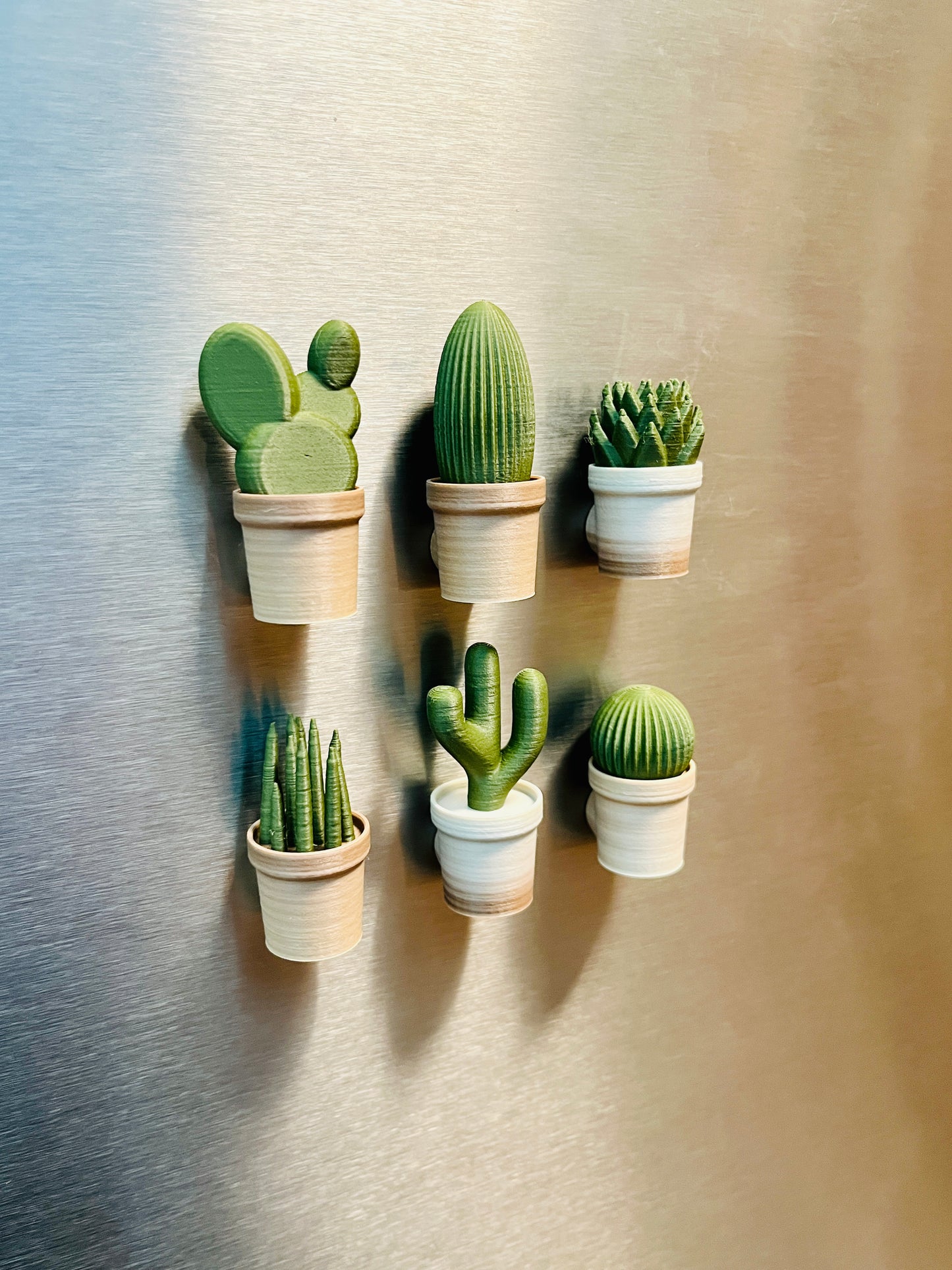 6 Small Cacti Fridge Magnets - 3D Printed Cacti
