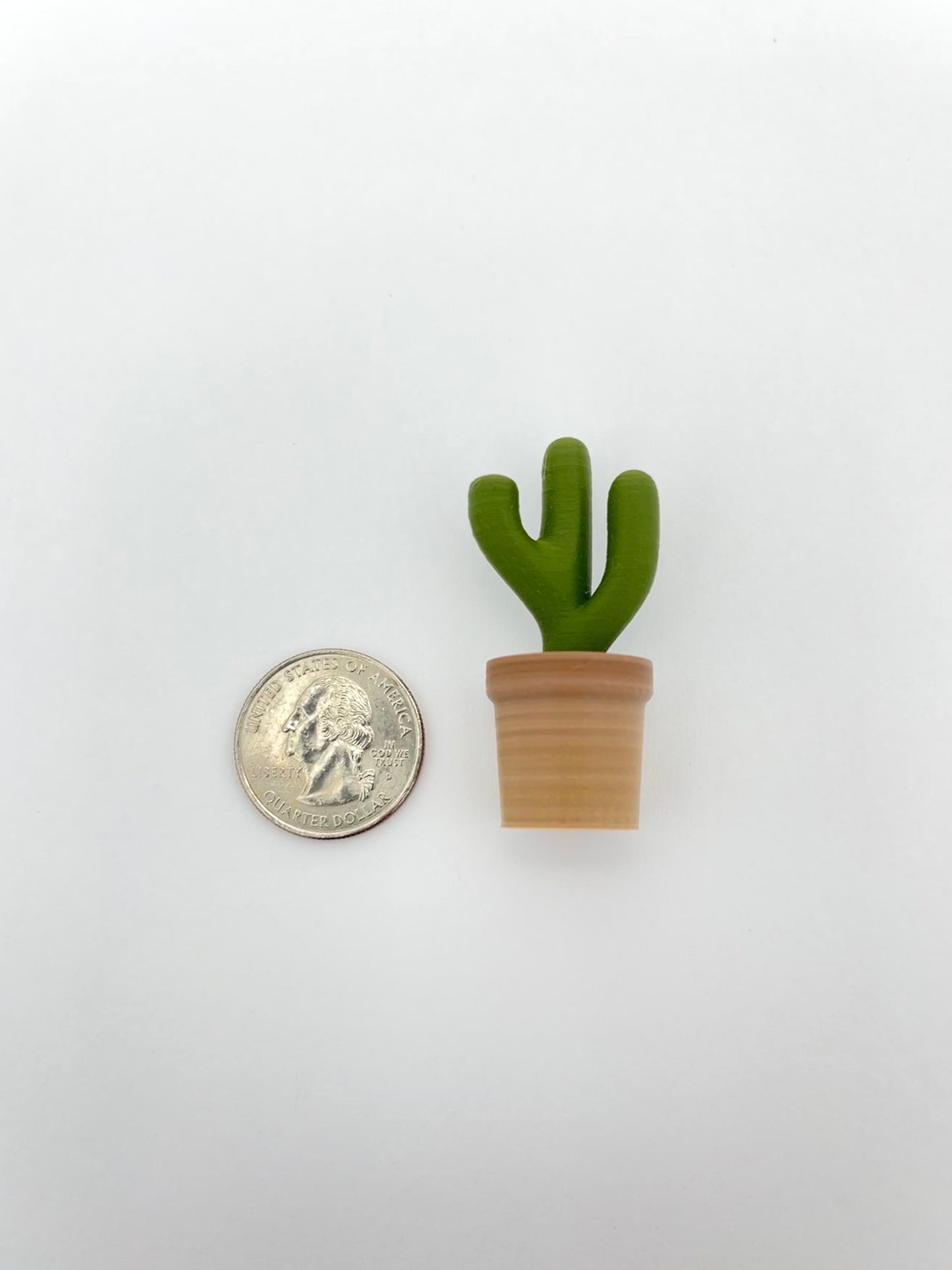 6 Small Cacti Fridge Magnets - 3D Printed Cacti