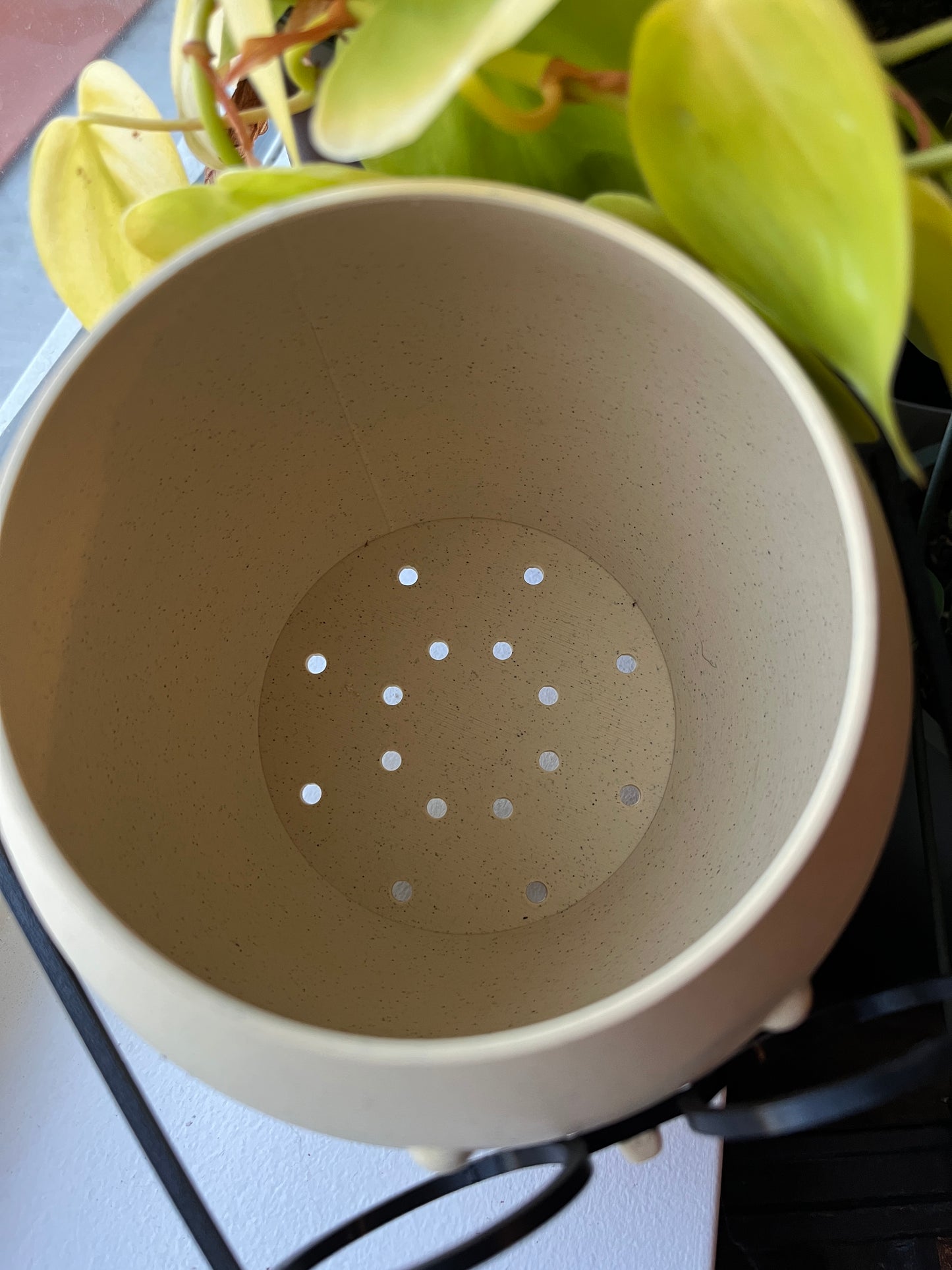 Unique Indoor Pot with a Face and Glasses: A Fun and Quirky Decorative Addition - Customizable Character - Home and Office Decor