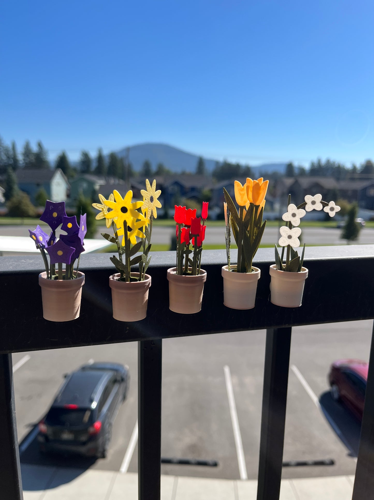 Flower Pot Fridge Magnets - House Plants - Flowers