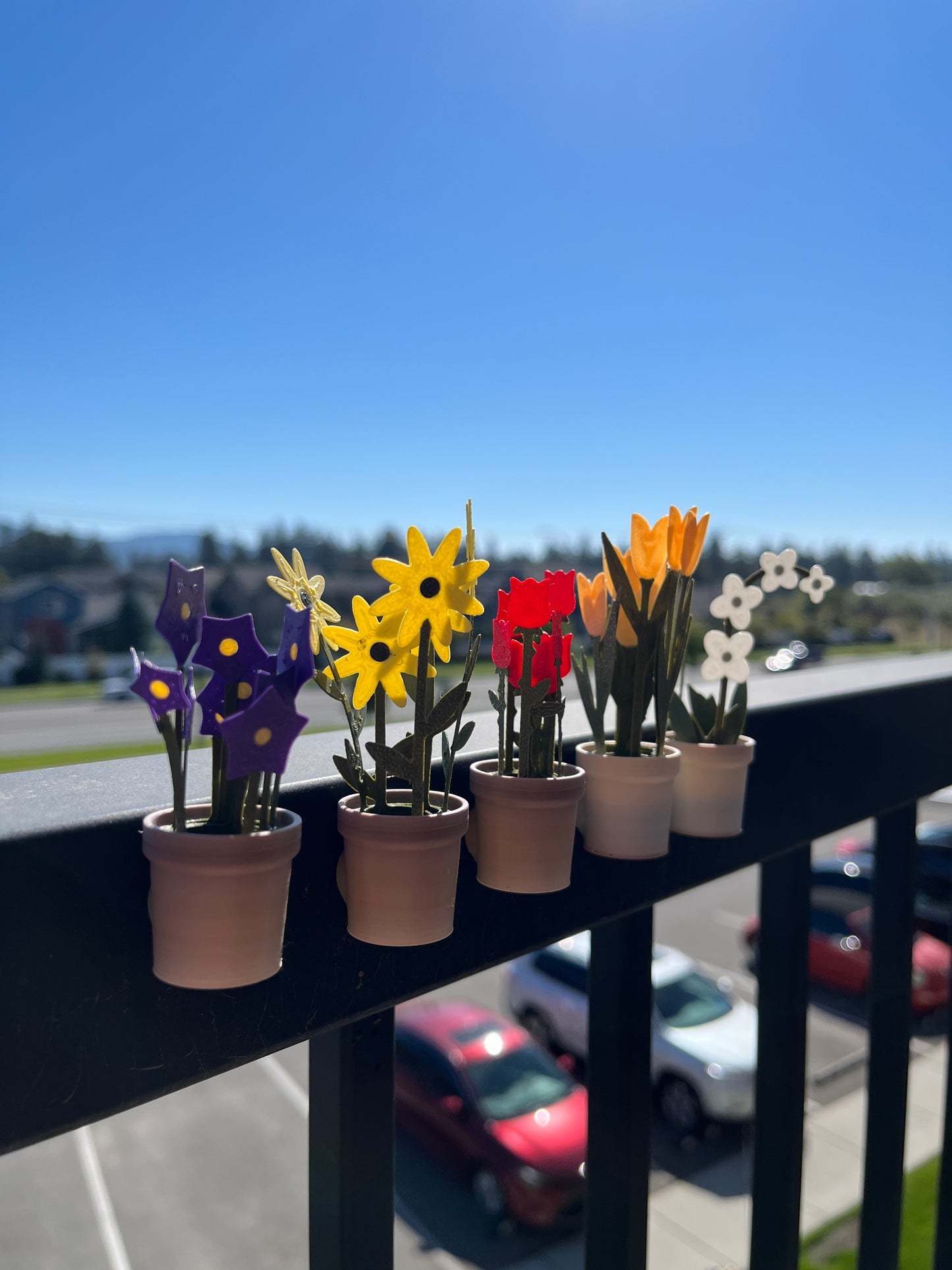 Flower Pot Fridge Magnets - House Plants - Flowers