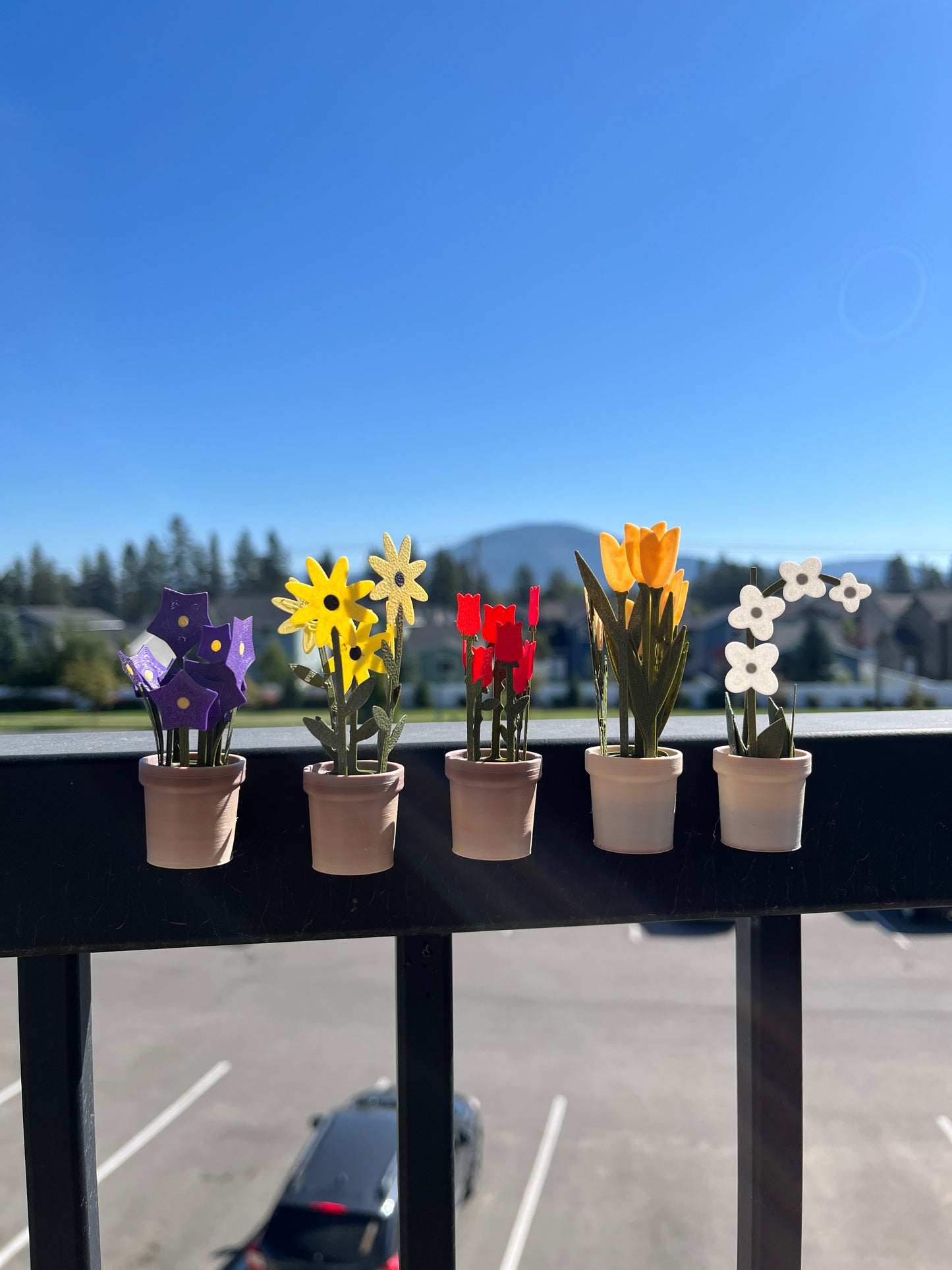 Flower Pot Fridge Magnets - House Plants - Flowers