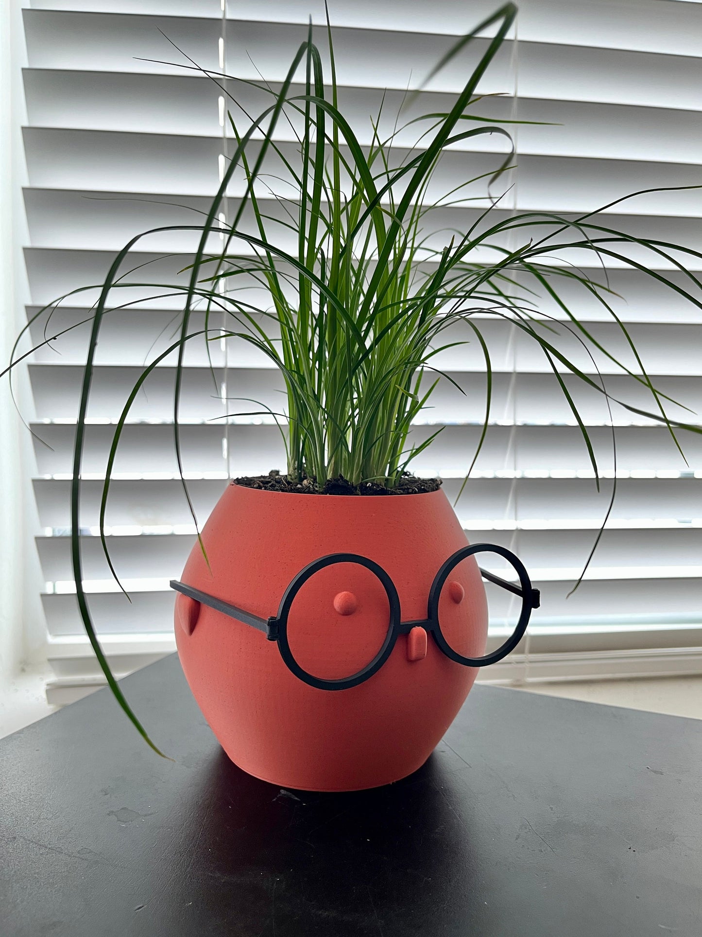 Unique Indoor Pot with a Face and Glasses: A Fun and Quirky Decorative Addition - Customizable Character - Home and Office Decor