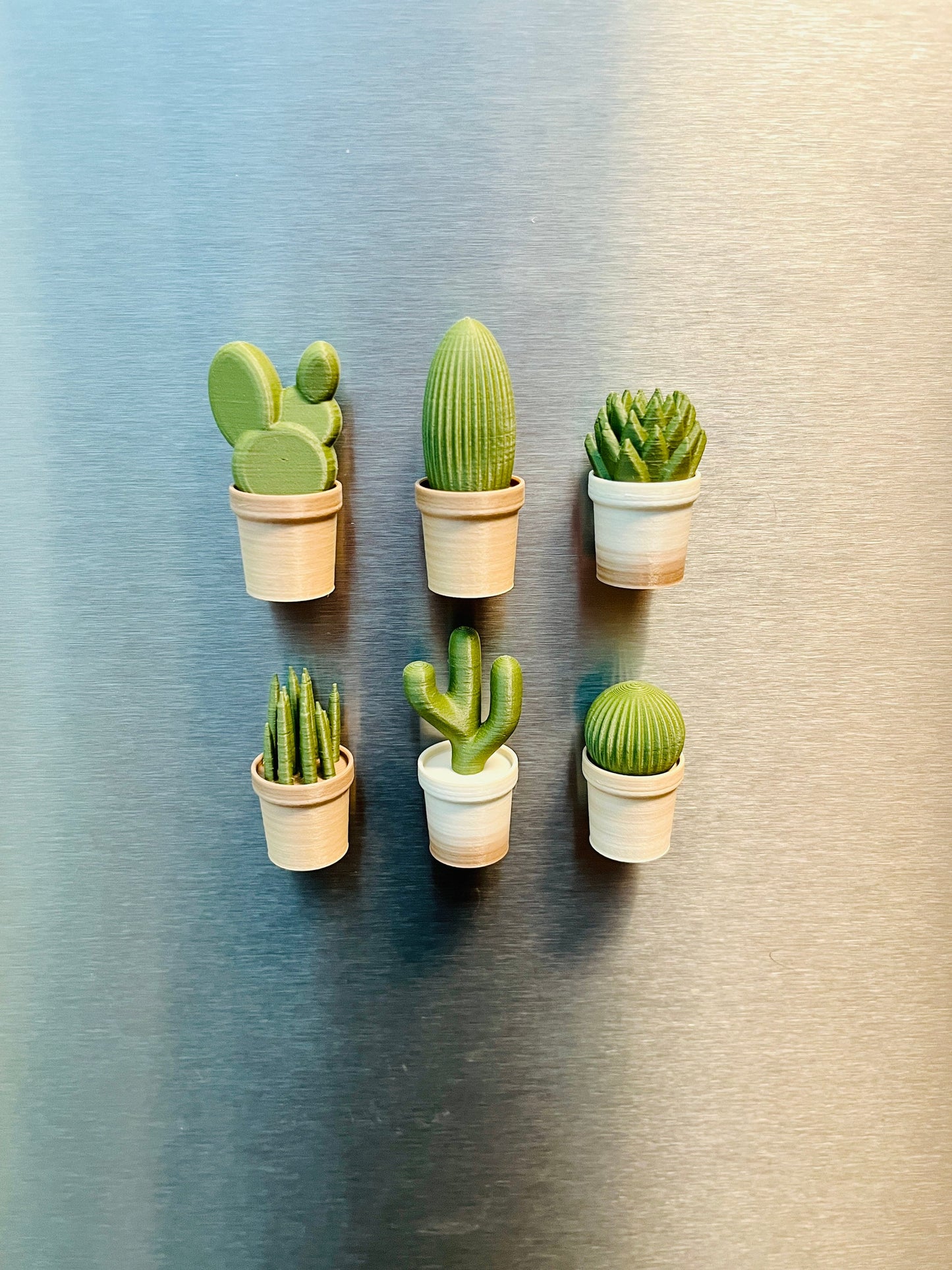 6 Small Cacti Fridge Magnets - 3D Printed Cacti